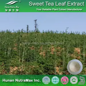 Rubus Extract Rubus Leaf Extract Powder Rubus Suavissimus Chinese Sweet Leaf 70% Rubusosides