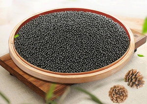 공기와 가스 정화를 위한 <span class=keywords><strong>Nano</strong></span> 무기물 수정같은 둥근 활성화된 탄소