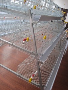 La avicultura de diseño de múltiples nivel galvanizado grandes jaulas de pájaros <span class=keywords><strong>gallinero</strong></span> para capas - Product Image 3
