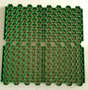 Hot Sales/Hdpe Bestrating Gras Gazon Grids/H38-68mm/Grassing Web