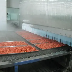 China IQF Schnell gefrier maschine, individuelle Schnell gefrier maschine, industrielle Schnell gefrier geräte