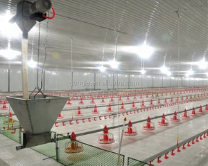 <strong>Automatic</strong> Animal <strong>Feeders</strong> Poultry Farm Feeding Line <strong>Chicken</strong> Feeding and Drinking System
