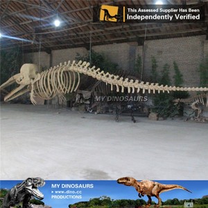 Mô Hình Bộ Xương Cá Voi Nhân Tạo V - Product Image 6