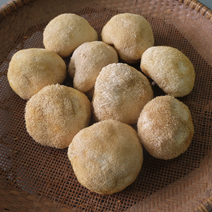 Detan सुपर प्रीमियम बनाने का कारखाना सूखे Hericium Erinaceus मशरूम - Product Image 3