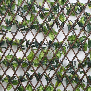 2019 nouveau design l'expansion saule <span class=keywords><strong>treillis</strong></span> clôture décoration murale confidentialité <span class=keywords><strong>treillis</strong></span> haie - Product Image 3