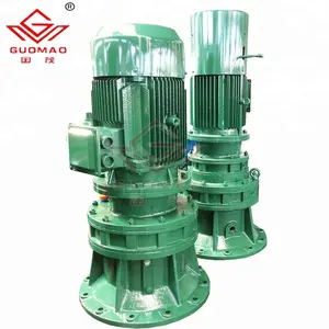 Guomao صندوق التروس المستخدم في الساعات الميكانيكية المخفض مع المحرك وزن الجسم ، BWD.BL. محرك جهاز تخفيض السرعة