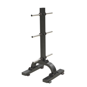 Fitness Multi Regular Plate Holder DFT-654 Vertical Plate Tree With Barbell Bar Storage Rack <strong>Stand</strong> <strong>for</strong> Bumper <strong>Weight</strong> Plates - Product Image 2