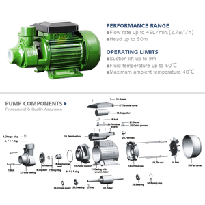 Mejores precios de importación de 220 voltios doméstica jardín superficie motor eléctrico bomba de agua periférica pomp - Product Image 4