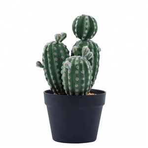 Bán Buôn Bộ Kích Thước Khác Nhau Của Cây Xương Rồng Giả Cây Xương Rồng Nhân Tạo Để Trang Trí Nhà - Product Image 5