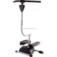 Sunyounger Cardio Twister Stepper
