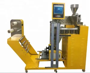 New Mini 3-Layer Multi-Layer Co-Extrusion Cast Film Machine for PET/TPU PP PE ABS Film Making Reliable Screw Motor Bearing