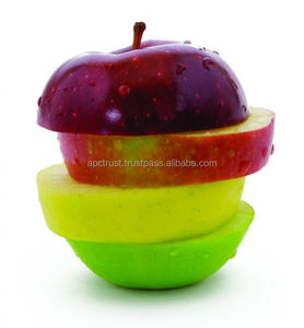 Sécheur d'arômes industriels, poudres d'arômes et liquides - Product Image 1