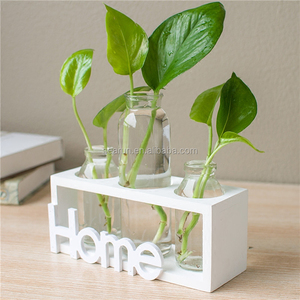 Set di Vasi in Legno e Vetro per Decorazione da Scrivania, <span class=keywords><strong>Vaso</strong></span> per Epipremnum Aureum Senza Accessori per Decorazione Domestica - Product Image 2