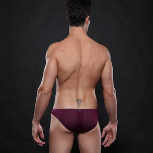 मुफ्त शिपिंग Fishnet WangJiang पुरुषों के अंडरवियर कच्छा मिनी SW4003-XSJ - Product Image 2