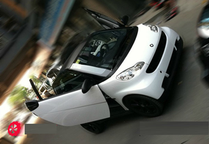 Puerta <span class=keywords><strong>de</strong></span> lambo automática para SMART 451 - Product Image 3