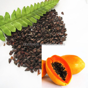 تصنيع توريد أعلى نقاء الهجين بذور البابايا - Product Image 6
