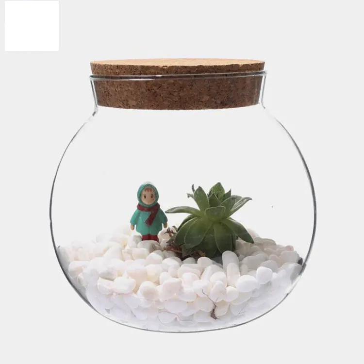 Glas Terrarium Container Bell Potten, Plant Terrarium in Glazen Pot