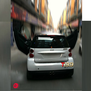 Puerta <span class=keywords><strong>de</strong></span> lambo automática para SMART 451 - Product Image 2