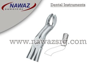 Pinzas para Extracción de Dientes Fig.67 Diam Top, Acero Inoxidable de Alta Calidad, Manuales, Certificación CE, Logotipo Personalizado, Instrumentos Dentales - Product Image 2