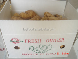 Crystal <strong>Ginger</strong>,<strong>fresh</strong> <strong>Ginger</strong>,dry <strong>Ginger</strong> Supplier - Product Image 3