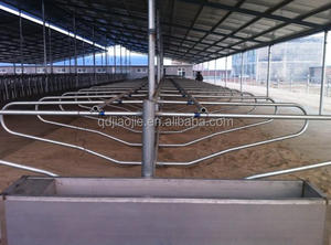 <span class=keywords><strong>Cage</strong></span> pour animaux libre séparée de stalle de vache galvanisée de nouvelle conception - Product Image 3