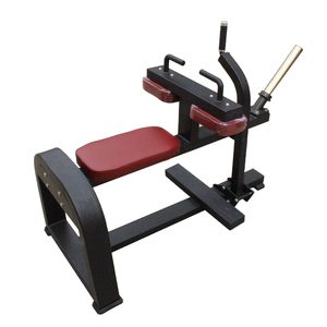 Appareil à Mollets Assis Ergonomique - Capacité 550 Lb Avec Adaptateurs - NEUF