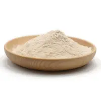 Organic Dehydrated Garlic Powder, Bulk Dried, Drum Tank, VF