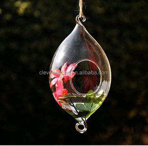 <span class=keywords><strong>Vendita</strong></span> diretta in fabbrica vaso di <span class=keywords><strong>piante</strong></span> da fiore di alta qualità vetro trasparente terrario vaso di vetro idroponico - Product Image 4