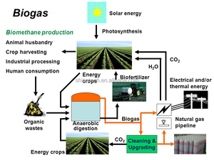 <span class=keywords><strong>Biogas</strong></span> analisador portátil de 3 gases, ch4/co2/h2s, detector de <span class=keywords><strong>biogas</strong></span> para teste - Product Image 4