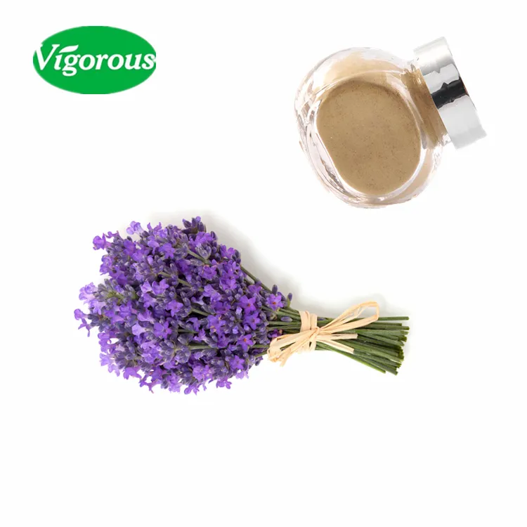 Doğal Lavandula angustifolia Lavanta Çiçek Özü Tozu