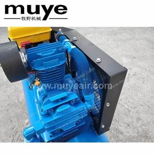 Mejor motor de barco <span class=keywords><strong>13</strong></span> <span class=keywords><strong>hp</strong></span>, <span class=keywords><strong>gasolina</strong></span> JD420 y motor diésel hecho en china, pistones, <span class=keywords><strong>compresor</strong></span> de aire de hierro con tanque - Product Image 5
