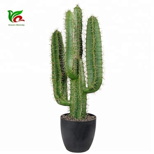 Plante du <span class=keywords><strong>d</strong></span>ésert Areg 76cm Imitation cactus <span class=keywords><strong>D</strong></span>écoration avec faux cactus <span class=keywords><strong>D</strong></span>écoration de bureau - Product Image 4