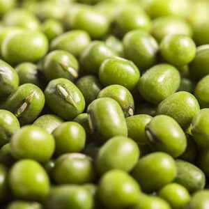 Fagioli Verdi di Alta Qualità in Cina - Product Image 1