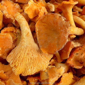 Detan Chinois Congelés Girolles Champignon