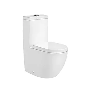 8235 Toilette monobloc à eau économique Toilettes en céramique à double chasse d'eau