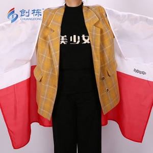 Bandera de <span class=keywords><strong>Polonia</strong></span> de Alta Calidad de Fábrica, Muestra Gratuita, Bandera de País con Estampado de Seda en Poliéster, Bandera con Manga - Product Image 2