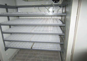 Trung Quốc Nhà Máy Giá 1056 Trứng Gà Tự Động Lồng Ấp Trứng Để Bán - Product Image 3