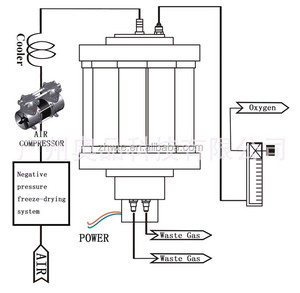Générateur d'oxygène portable pour la recirculation du sang, système d'aquupuncture - Product Image 3