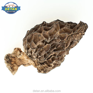 Detan Séchés Morilles Sauvages Rare Comestibles <span class=keywords><strong>Champignon</strong></span> - Product Image 1