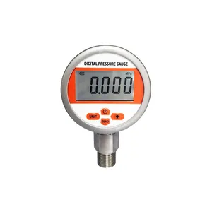 WTsensor Factory CE ROHS Accuracy 0.25% 0.5% Typical High Precision Intelligent Digital Pressure Gauge For Water Oil Gas