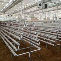 Système de gouttière de culture hydroponique NFT avec pompe en acier inoxydable et matériaux en PVC respectueux de l'environnement pour une culture efficace des légumes