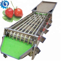 Fruit sorteermachine voor appels, dadels, mango's, bosbessen en jujubes met motor 220V/380V 0.37kW