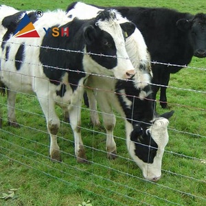 Bán Nóng Điện Mạ Kẽm Lĩnh Vực Sắt Dây Gia Súc Lưới Hàng Rào - Product Image 2