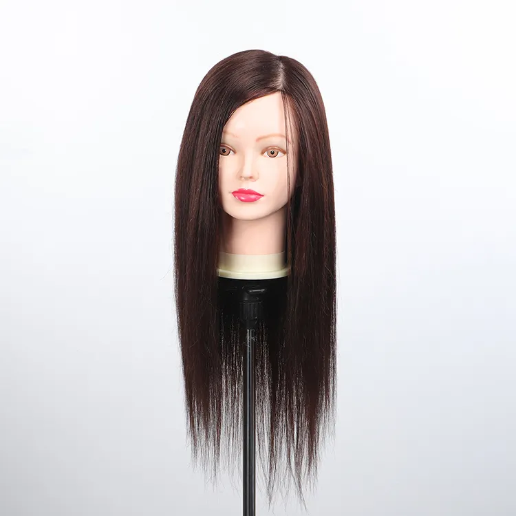 mixture hair popular teaching mannequin head animal hair and synthetic hair mixture