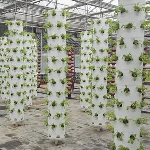 Vertical Column Hydroponic Aeroponic Strawberry Fruit Planting Tower