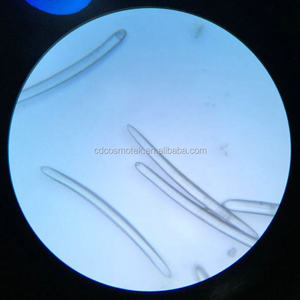 97% Чистый Экстракт губки иглой | <span class=keywords><strong>Spongilla</strong></span> badyaga | Spicule powder - Product Image 4