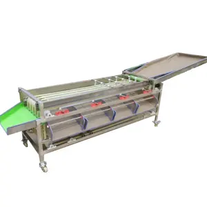 コマーシャルファームフルーツマシンオレンジウォールナットオニオンサイザーソーターグレーダーピッカー - Product Image 1