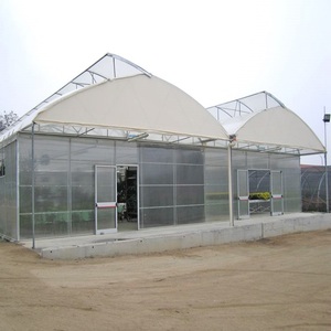 <span class=keywords><strong>8m</strong></span> Pré-fabricadas Estufa Estufa Multi-extensão Estufa Tropical