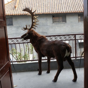 Décorations de Noël de cour de cerf grandeur nature renne Navidad modèle de cerf debout réaliste - Product Image 4