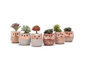 Jardinière de hibou en céramique écologique avec base en glaçure coulante Pot de plante succulente au design moderne de haute qualité à usage intérieur <span class=keywords><strong>pour</strong></span> le sol - Product Image 5
